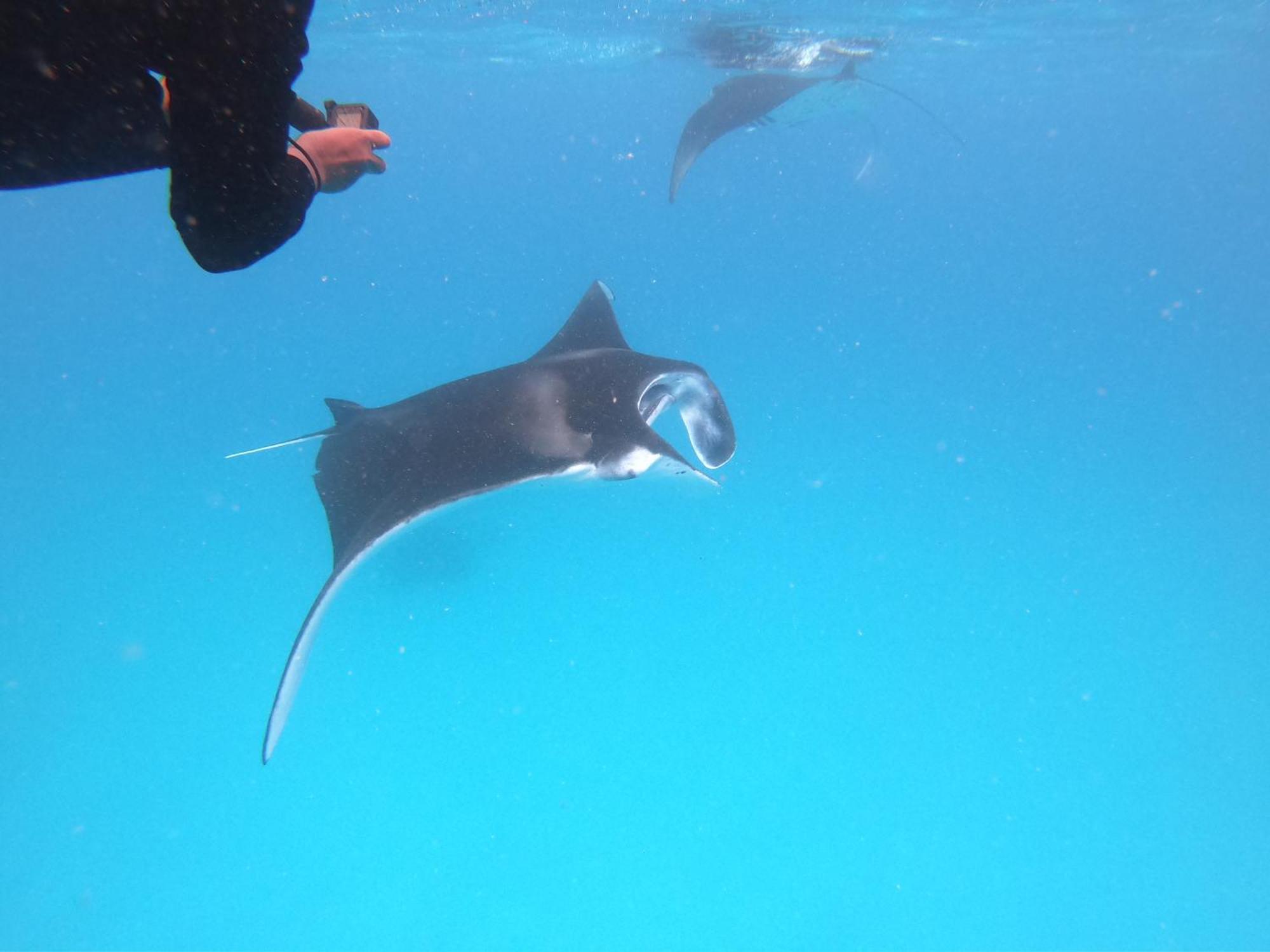 Biosphere Inn Dharavandhoo Kültér fotó