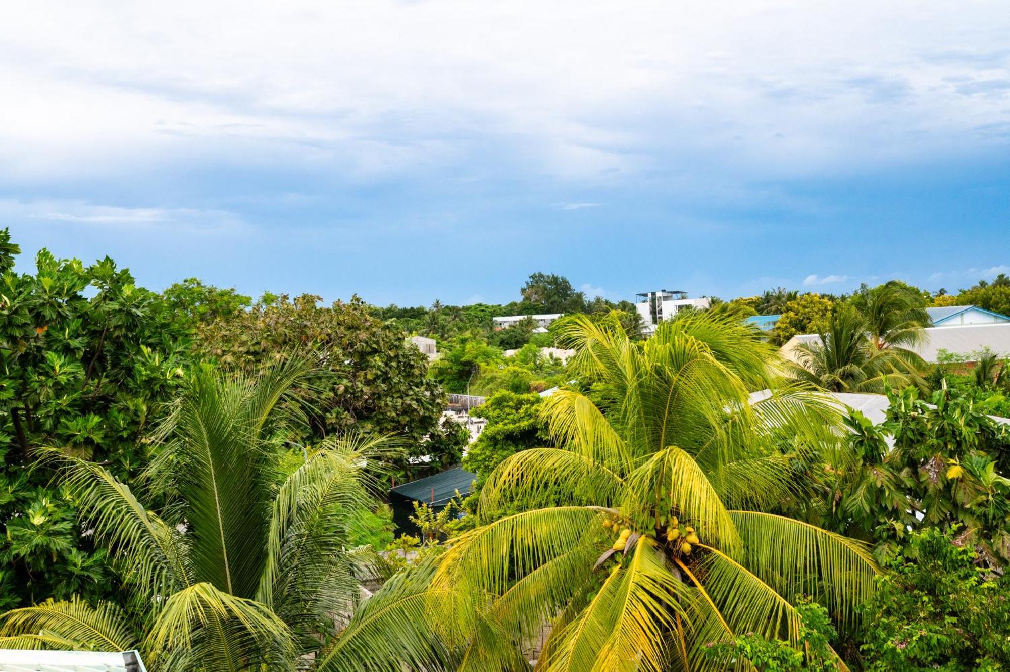 Biosphere Inn Dharavandhoo Kültér fotó