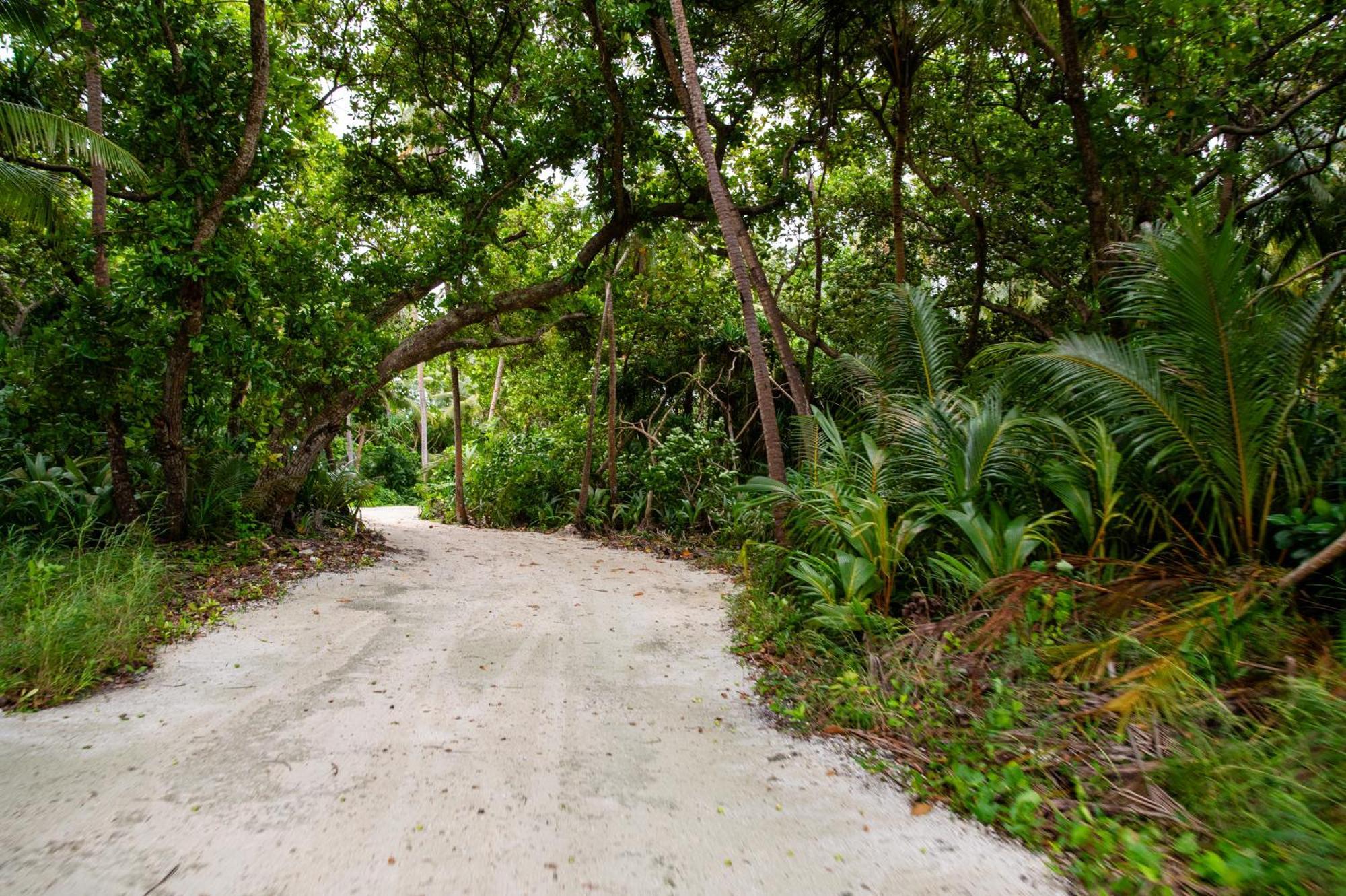 Biosphere Inn Dharavandhoo Kültér fotó